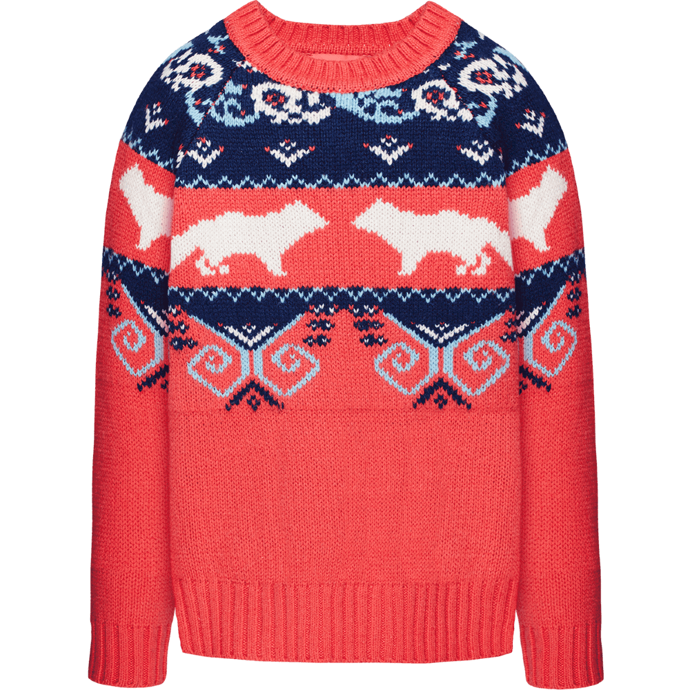 Sweater Colorful